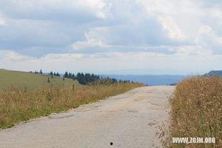 梦见吃地里的瓜,瓜田里的美味诱惑  第1张