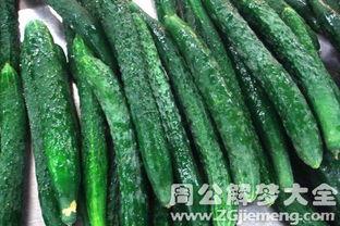 梦见吃地里的瓜,瓜田里的美味诱惑  第3张