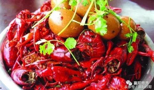 襄阳贾雯吃瓜,揭秘吃瓜群众的趣味生活  第2张