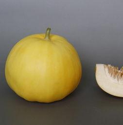 吃哈密瓜测怀孕,甜蜜果实中的神奇预示  第2张