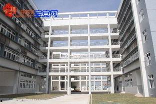 深圳新安中学吃瓜,校园风云背后的真相揭秘  第1张