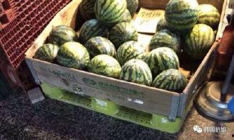 山东姑娘旅游吃瓜,畅游各地，品味人间烟火  第2张