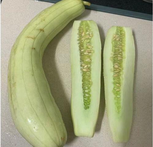 腌白瓜怎么吃,解锁家常美味新境界  第2张