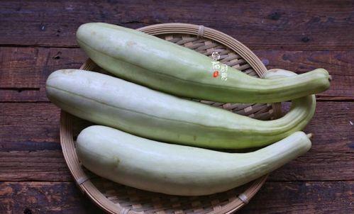 腌白瓜怎么吃,解锁家常美味新境界  第3张