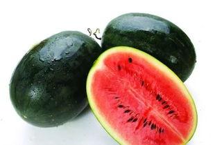 447446吃瓜,吃瓜群众的狂欢盛宴  第3张