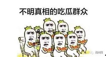 保险公司吃瓜,理赔背后的利益博弈  第1张