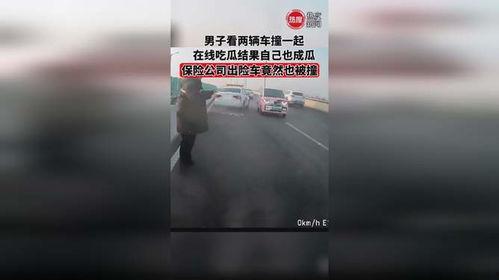 保险公司吃瓜,理赔背后的利益博弈  第3张