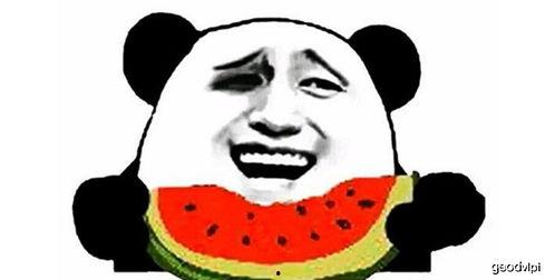 心碎小子吃瓜,揭秘娱乐圈背后的秘密与真相  第3张