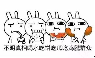 吃瓜群众吃的是啥东西,吃瓜群众究竟在品尝何种神秘瓜果？  第3张