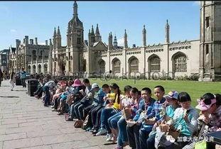 吃瓜船台湾,台湾网络热词背后的文化现象  第2张