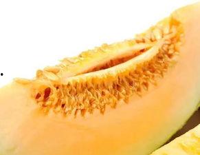 喝酒后吃瓜蜜瓜  第1张