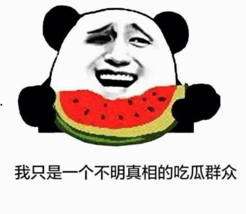 一个卖瓜的吃瓜群众,揭秘瓜农背后的酸甜苦辣  第2张