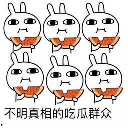 忽悠吃瓜,网络热词背后的文化现象  第1张