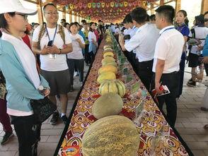 吃瓜观众小鹿  第3张