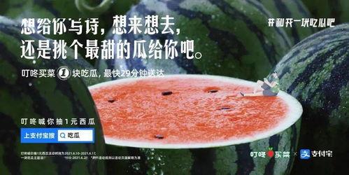 吃瓜解暑文案句子,吃瓜解暑，清凉一夏！  第1张