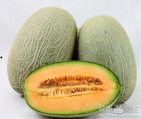 吃哈密瓜可以吃冬瓜吗,夏季消暑美食搭配指南  第2张