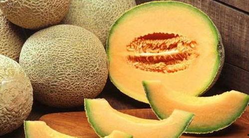 吃哈密瓜可以吃冬瓜吗,夏季消暑美食搭配指南  第3张
