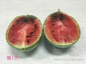 吃瓜自己变成了瓜,一场奇妙的身份转变之旅  第3张