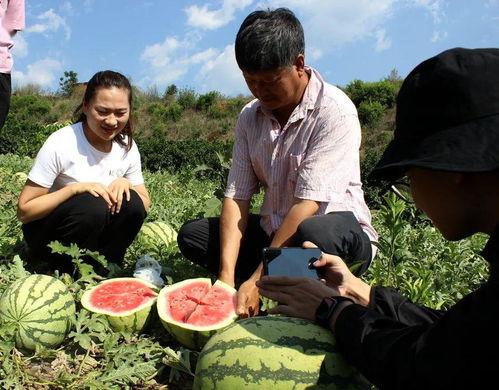 玉溪吃瓜群众爆料,吃瓜群众热议不断！  第1张