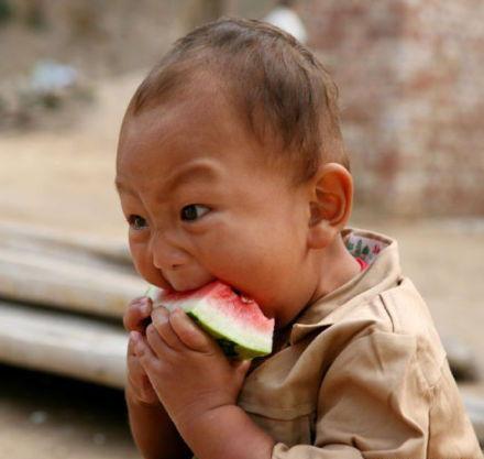 爰吃瓜的男孩,揭秘“爰吃瓜的男孩”的瓜界传奇  第1张