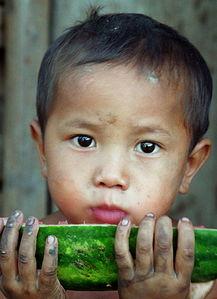 爰吃瓜的男孩,揭秘“爰吃瓜的男孩”的瓜界传奇  第3张