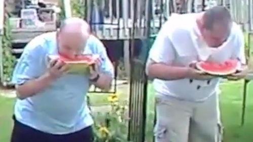 前线吃瓜图片,揭秘战地风云中的趣味瞬间  第3张