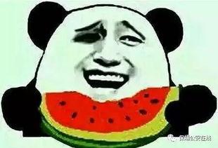 吃瓜被人打伤  第1张