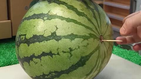 山东直接吃的瓜,鲜甜可口，直接品尝的瓜果盛宴  第3张