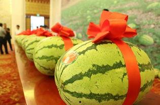 晚宁吃瓜,揭秘娱乐圈幕后故事  第2张