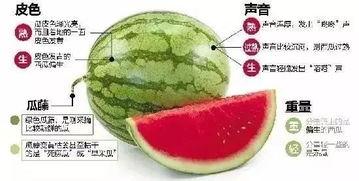 微信实时吃瓜,揭秘微信里的那些新鲜事  第1张