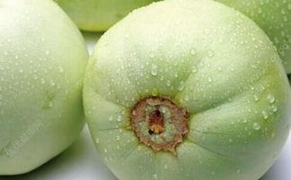 看糖尿病都是吃沙瓜,沙瓜助力血糖管理  第3张