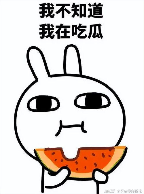 吃瓜白牙,揭秘娱乐圈的甜蜜与苦涩  第1张