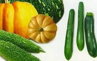 每天吃的瓜,品味生活，滋养身心  第3张