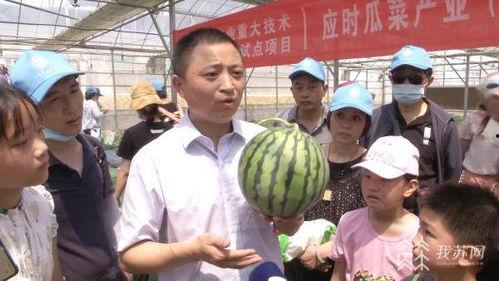 南京本科吃瓜  第3张