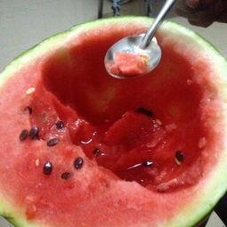 吃瓜大赛视频素材,吃瓜大赛精彩瞬间大盘点  第1张