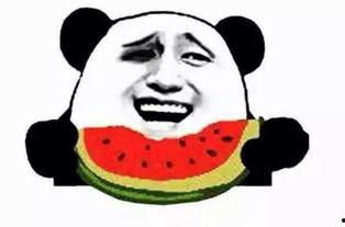 吃瓜群众阿鱼,揭秘娱乐圈那些事儿  第1张