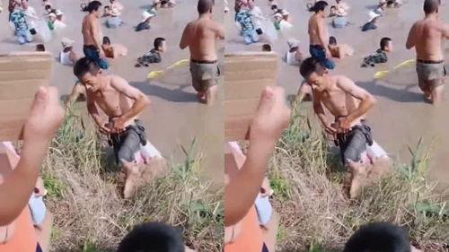 吃瓜群众阿鱼,揭秘娱乐圈那些事儿  第2张