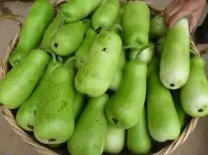 误吃葫芦瓜,一场意外的味蕾冒险  第2张