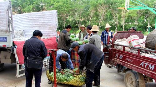衡阳建材吃瓜群众,吃瓜群众热议的焦点之地  第1张