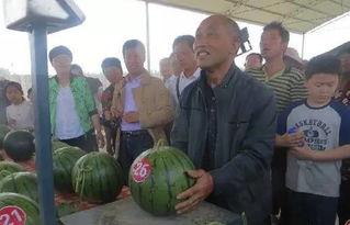 衡阳建材吃瓜群众,吃瓜群众热议的焦点之地  第2张