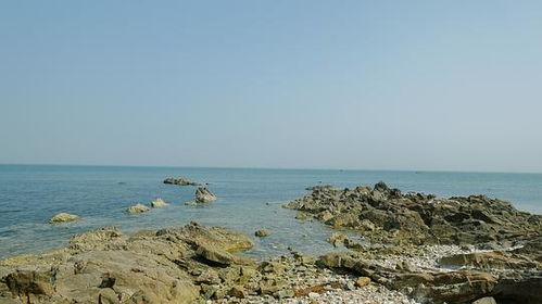 吃瓜视频大海,吃瓜视频中的海洋奇观  第1张