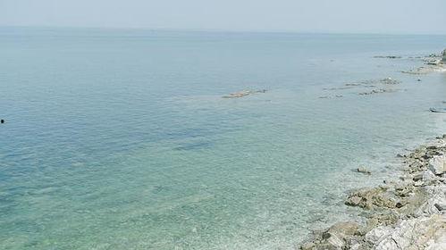 吃瓜视频大海,吃瓜视频中的海洋奇观  第2张