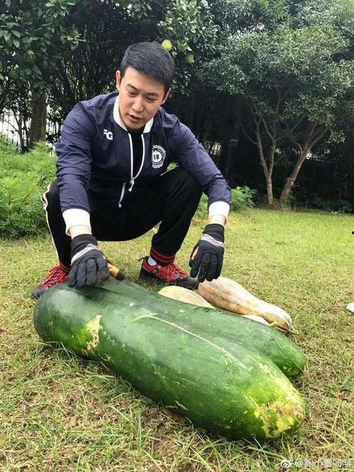 地上吃的瓜叫什么瓜,探寻地上瓜果的别样风味  第2张