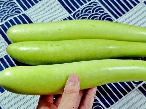 伊月在线吃瓜,揭秘娱乐圈幕后故事  第1张