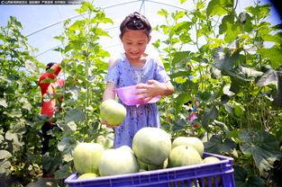 客运段吃瓜,揭秘列车上的欢乐时光  第1张