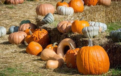 一众吃瓜,一众吃瓜群众热议幕后真相  第1张