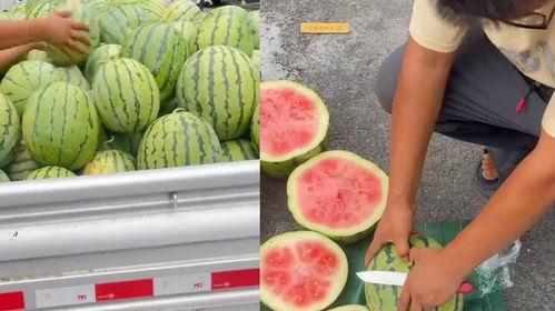 卖瓜的吃生瓜  第2张