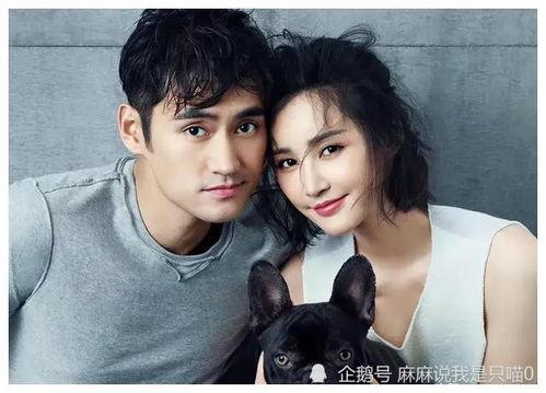 吃大瓜小媛,揭秘娱乐圈的甜蜜与苦涩  第1张