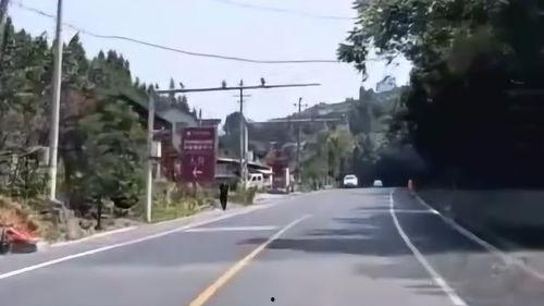 路上车吃瓜,车流中的“吃瓜群众”现象解析  第2张