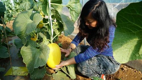 带你吃瓜理发前后  第3张